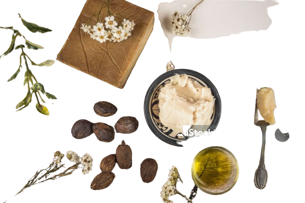 Buy Istockphoto 503734128 2048x2048 removebg preview.